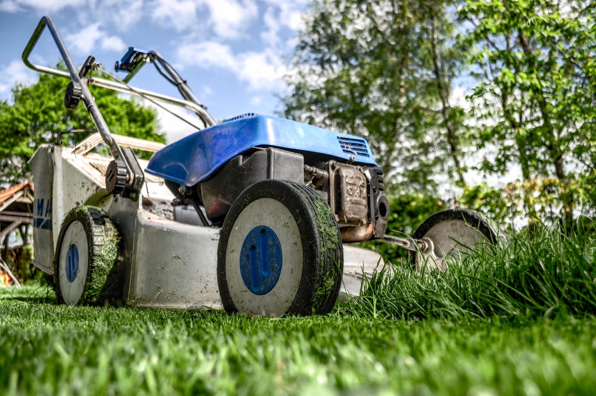 Garden Maintenance and Lawn Mowing Pattaya